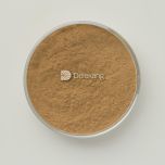 Ginkgo biloba extract