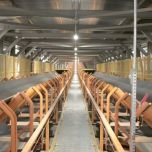 TRANSPORTADORES DE CORREIA E ELEVADORES DE CANECAS