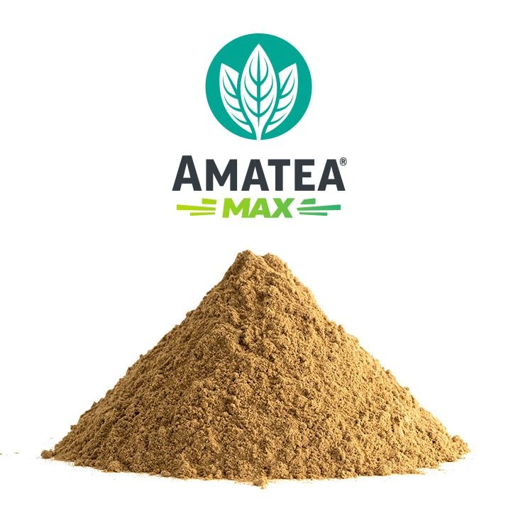 AmaTea® Max Organic Guayusa Extract