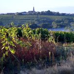 Château de la Cantrie Muscadet Monnières-Saint Fiacre