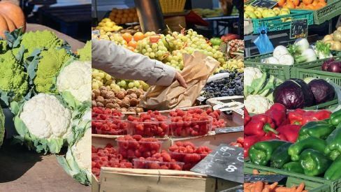 Présentation des projets transversaux multi-filières