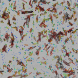 Bildoptische inline-Sensoren