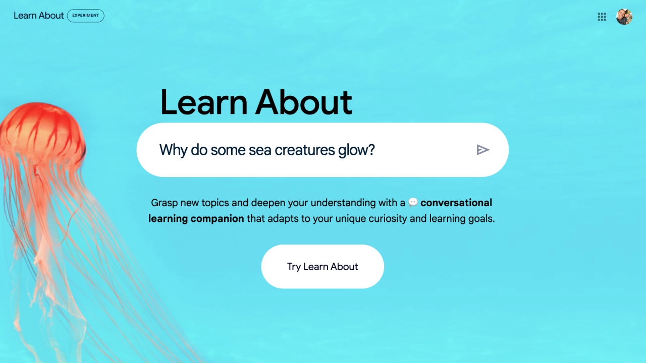 Learn About: AI for Curious People