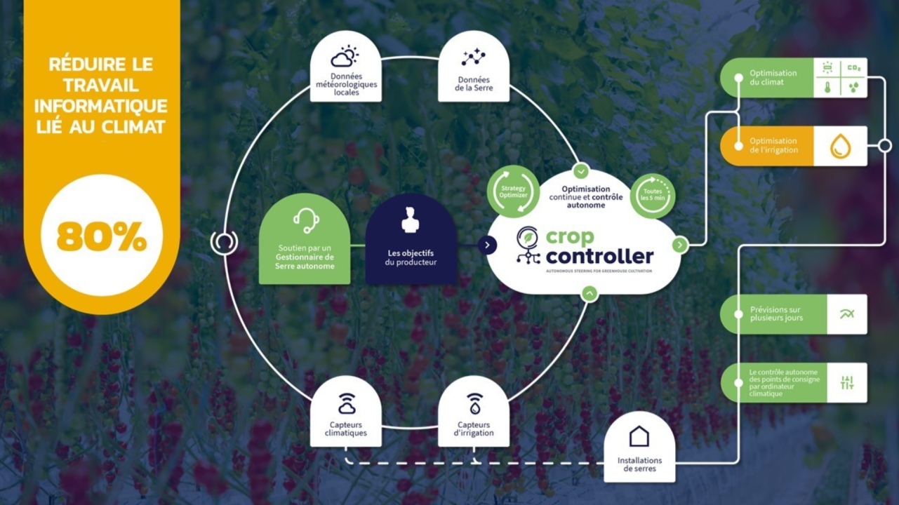 L'intelligence artificielle appliquée à la culture hors-sol