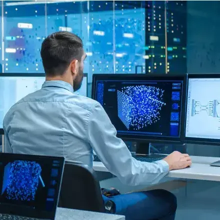 Software, Systems, and Solutions Development