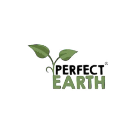 Perfect Earth