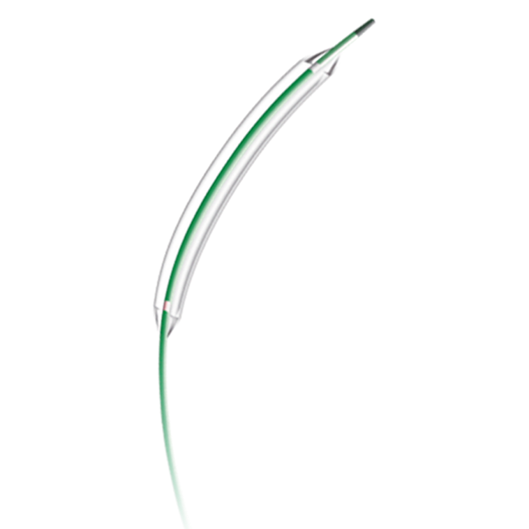 APEXUS PTA Balloon Dilatation Catheter