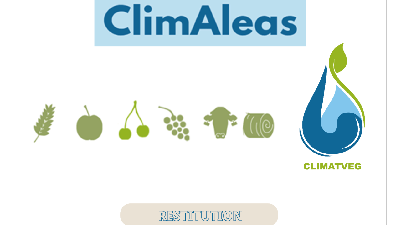 Outil de diagnostic de la résilience de l’exploitation face au changement climatique : ClimAléas