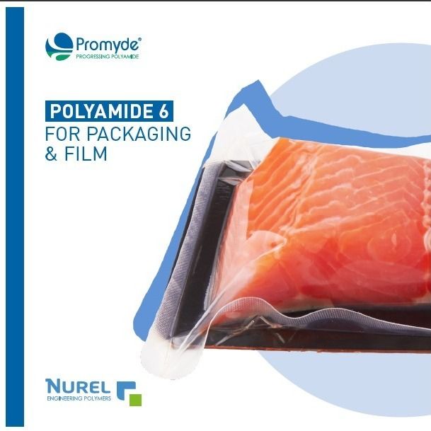 POLIAMIDAS Y COPOLIAMIDAS PARA FILM