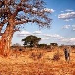 AFRICA QUEEN ADVENTURES