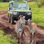 SOGNANDO TANZANIA E KENYA