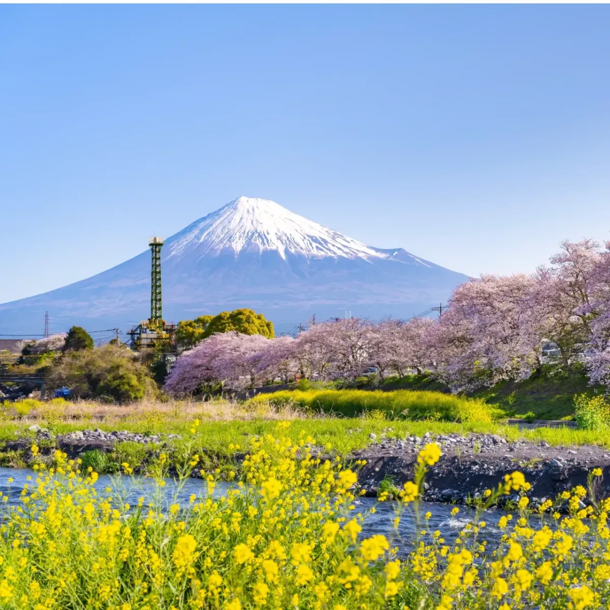 AVPN Northeast Asia Summit 2025