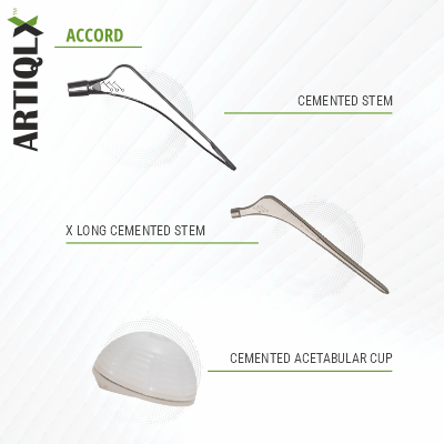 ArtiQLX (Hip Prosthesis Division)
