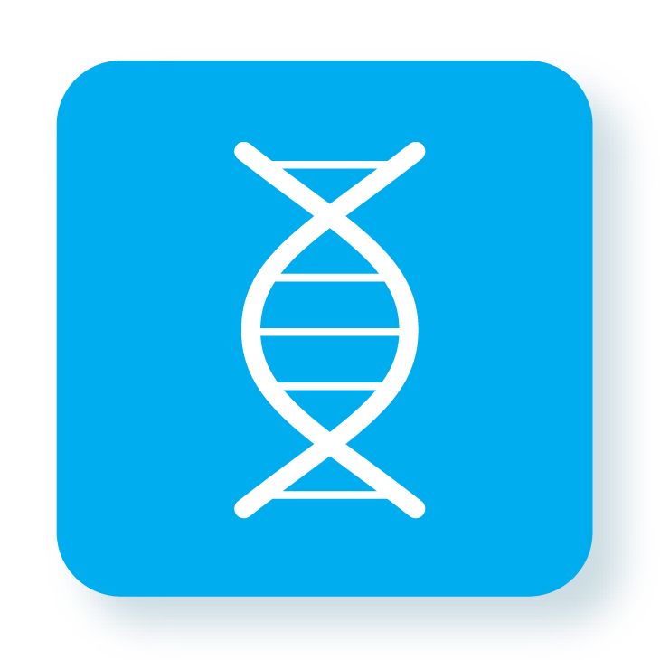 CordenPharma Oligonucleotide Platform