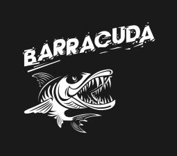 Barracuda selladores