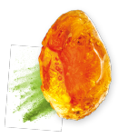 INAVEA PURE ACACIA The Organic Prebiotic Acacia Fiber