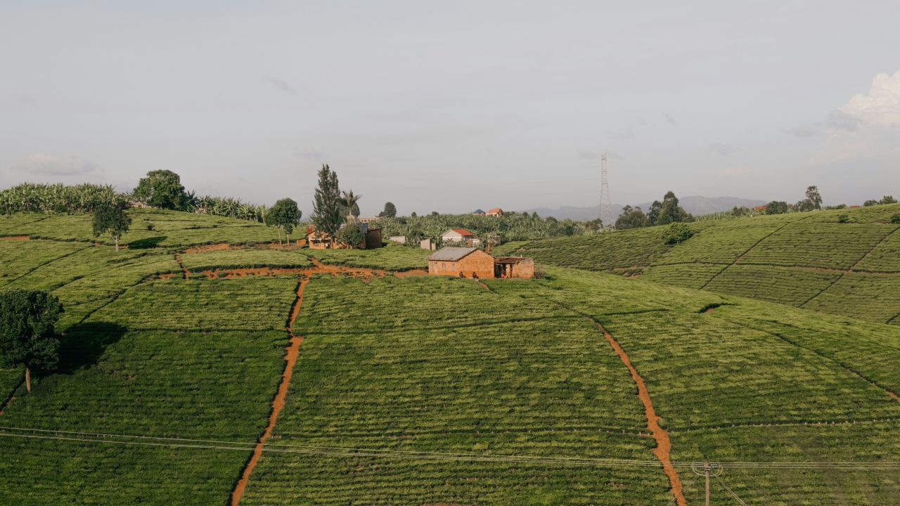 Systemic approaches for sustainable growth: what have we learnt?