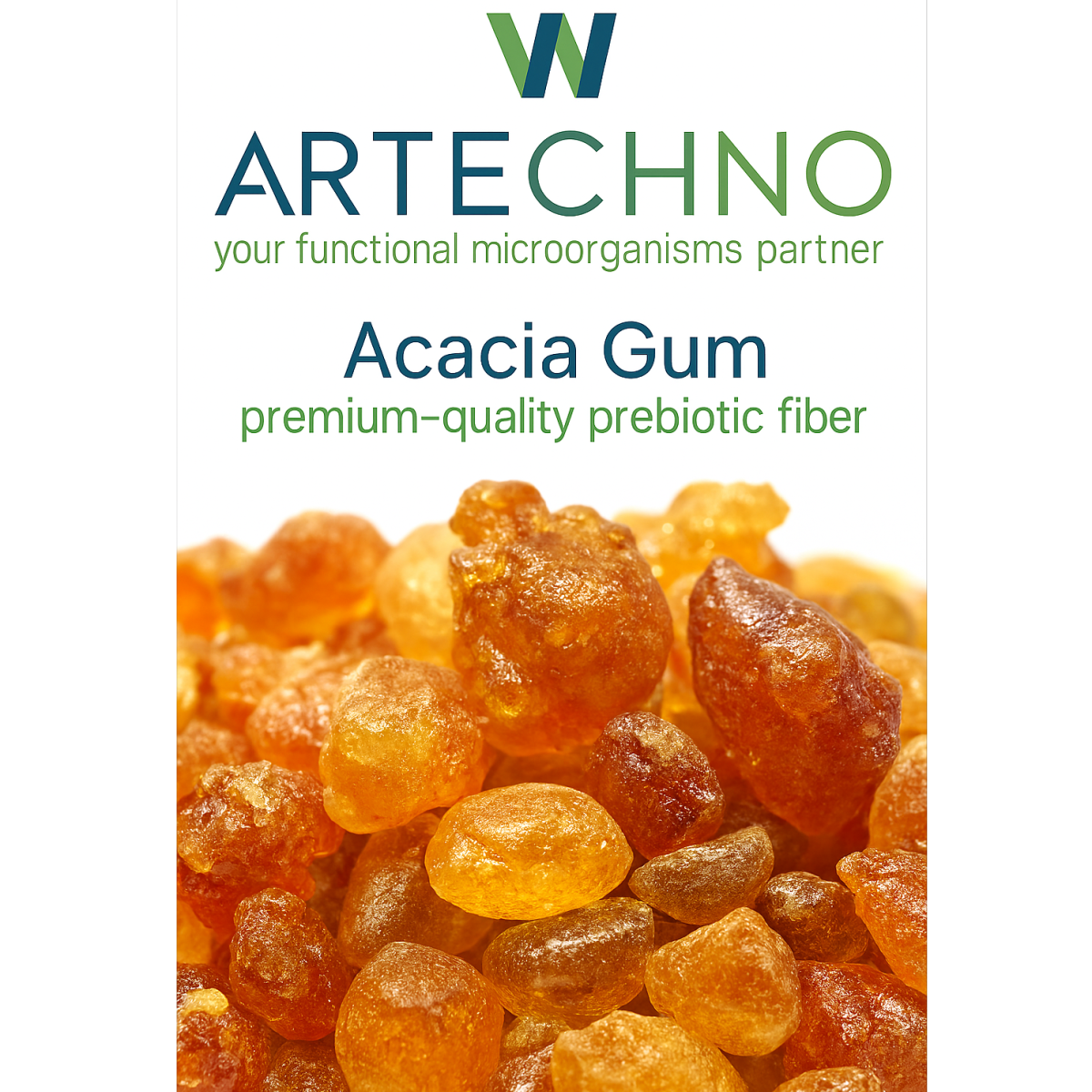 Acacia gum as prebiotic fiber