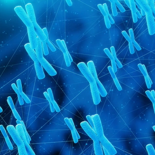 iSAFE PGT-A Screening by dPCR (Same Day Report)