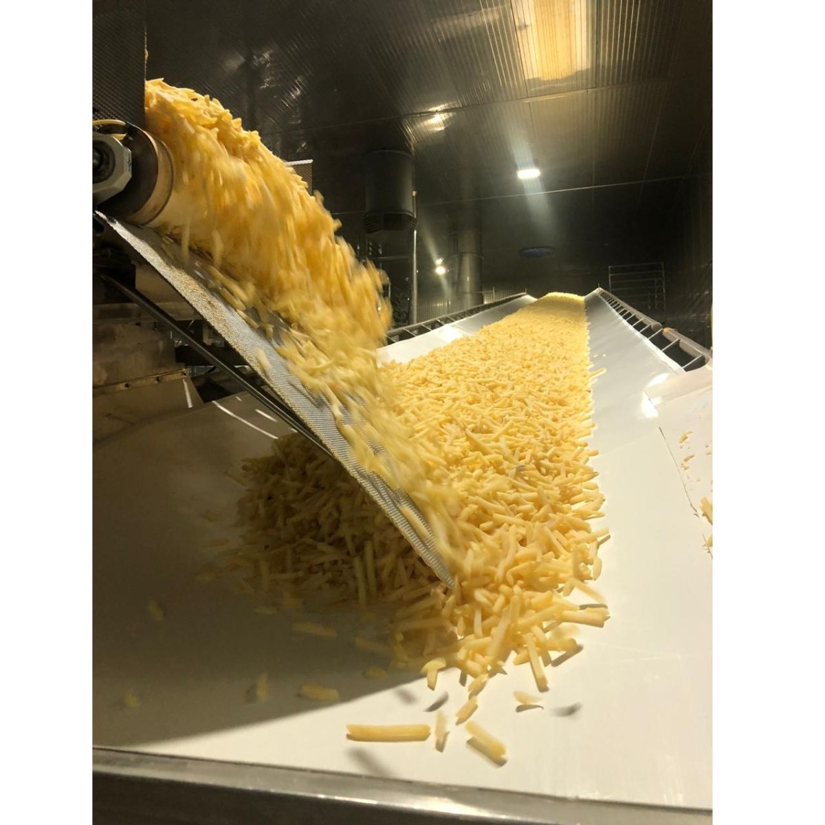 CORREIAS TRANSPORTADORAS