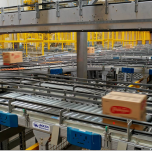 Transportadores motorizados