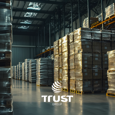 Management of International Brands in Brazil