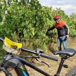 Wine Miracle Bike Tour