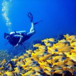 The Barefoot Eco Hotel - ****