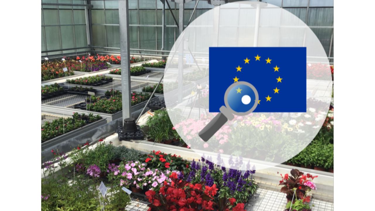 ASTREDHOR et l'Europe : 6 projets au service des professionnels