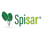 SPISAR®: SPINACH LEAF EXTRACT FOR MUSCLE MAINTENANCE