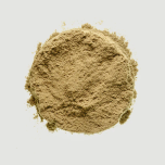 Biolane™ – Green-lipped Mussel Extract