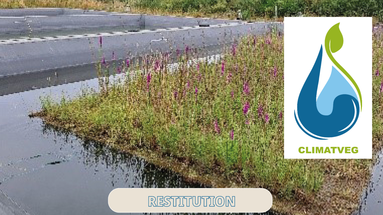 Gérer durablement la ressource en eau et identifier la meilleure couverture de réserve d’eau pluviale d’irrigation