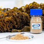 Maritech® organic fucoidan