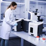 Litesizer DIA 500 | Dynamic Image Analyzer