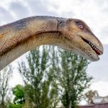 HYDRAULIC STAGE SOLUTIONS