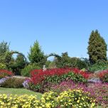 MAGGIORE CENTRO GOURMET