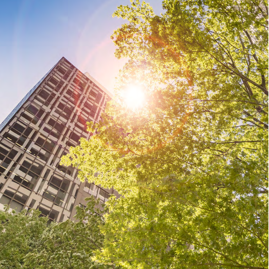 BLUEBEAM E-Book Grünes Bauen