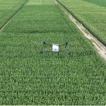 Drone DJI Agras T20P