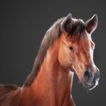 NAMSON digital Artworks