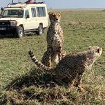 AFRICA QUEEN ADVENTURES