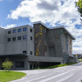 Automation Made Easy