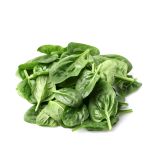 SPISAR®: SPINACH LEAF EXTRACT FOR MUSCLE MAINTENANCE