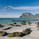 Flight from Florence to Bergen and domestic flights to 41 destinations in Norway