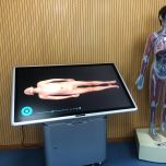 HD Digihuman Virtual Anatomy MINI Table ECDH-Int II 55