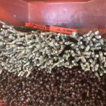 ruban de greffe BuddyTape