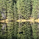 SERVIZIO PUBBLICO PROVINCIALE PER LA PROMOZIONE DEL TURISMO E COORDINAMENTO DELL'ATTIVITÀ SALVAMONT BACAU