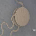 Printed Force Sensor