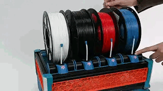 LDO Box Turtle Out of The Shell