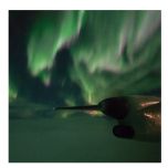 Flight from Florence to Bergen and domestic flights to 41 destinations in Norway