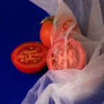 BioPlásticos Flexíveis